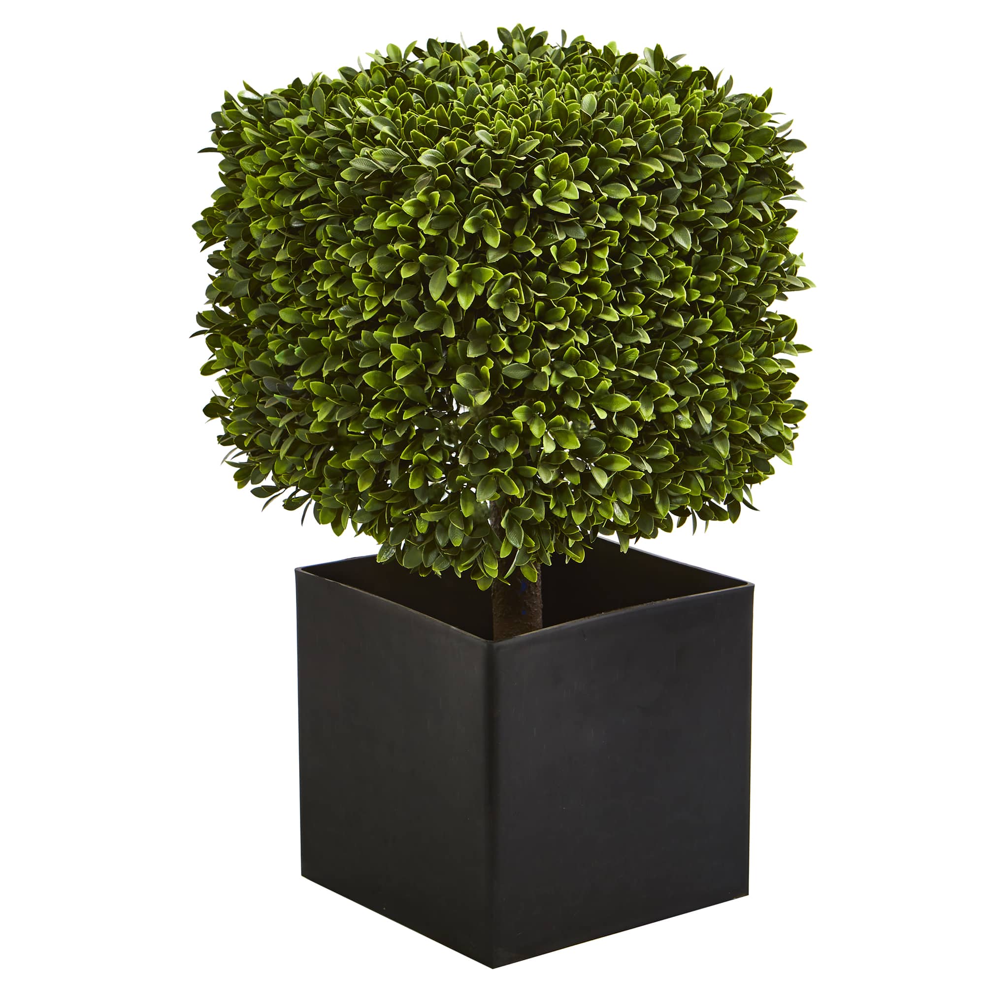 27" Boxwood Artificial Plant in Black Planter